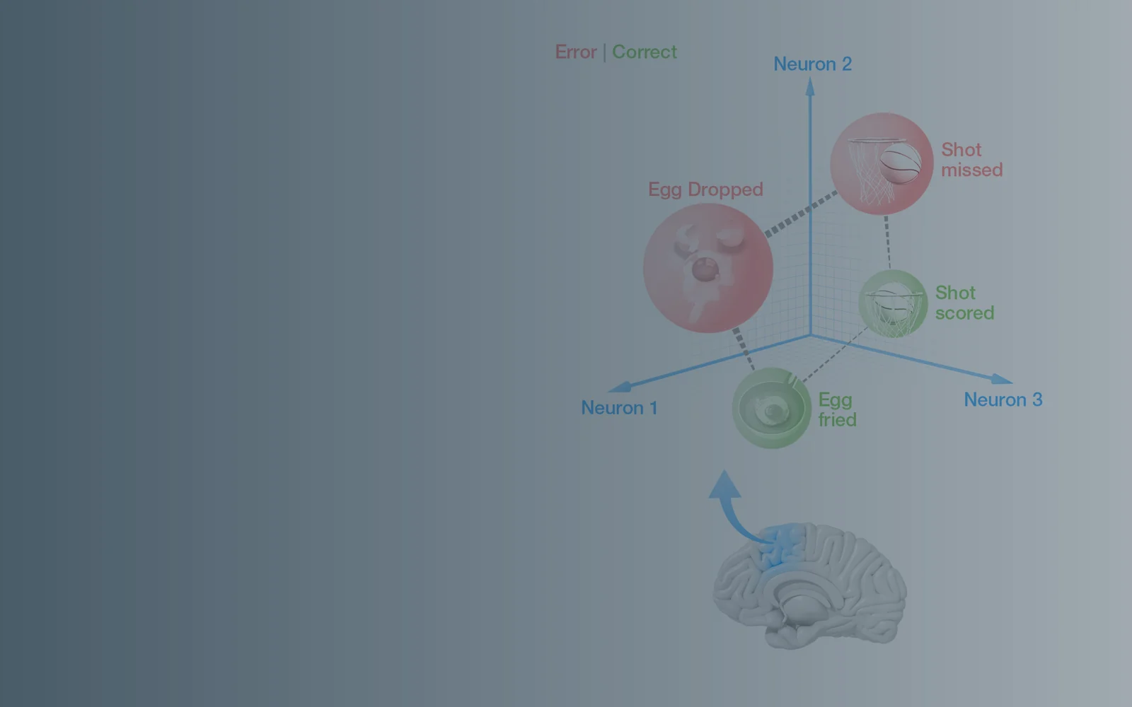 Neural mechanisms of cognitive control