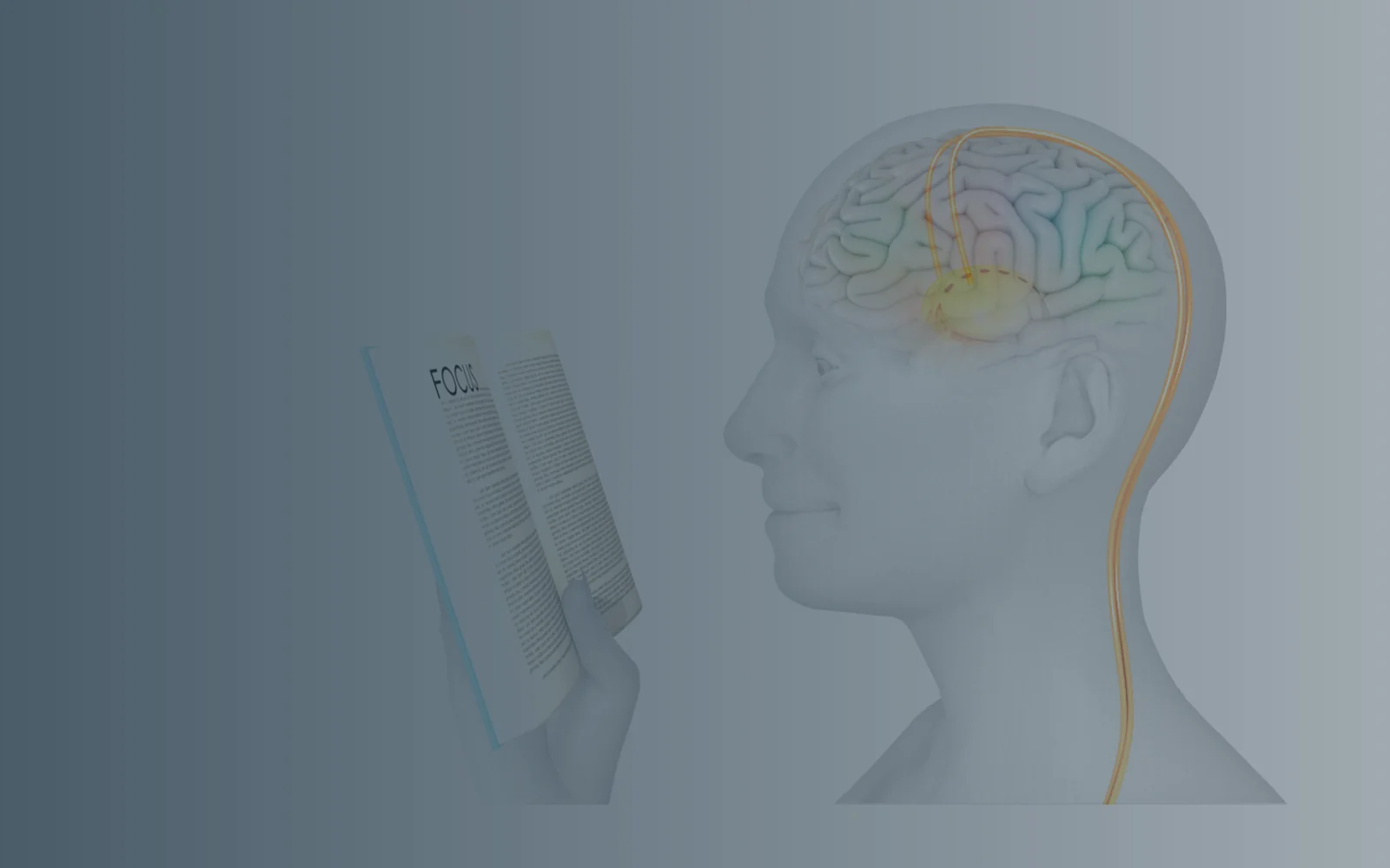 Neuromodulation