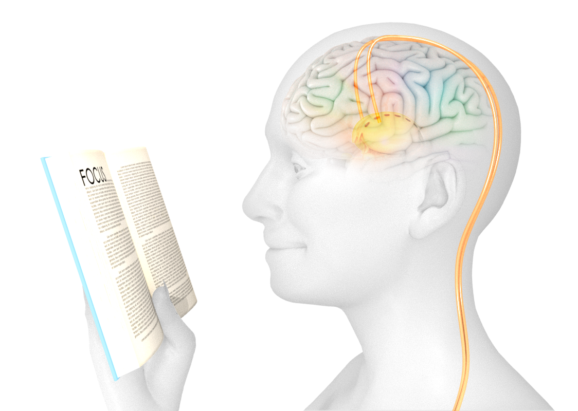 Brain stimulation approaches to studying cognitive control.